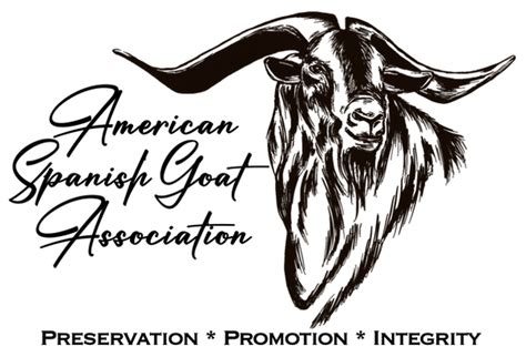 american spanish goat association